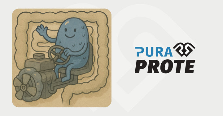 Ilustración de un personaje azul con forma de frijol conduciendo un motor dentro de un túnel con forma de intestino