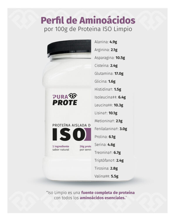 Aminocácidos ISO Limpio