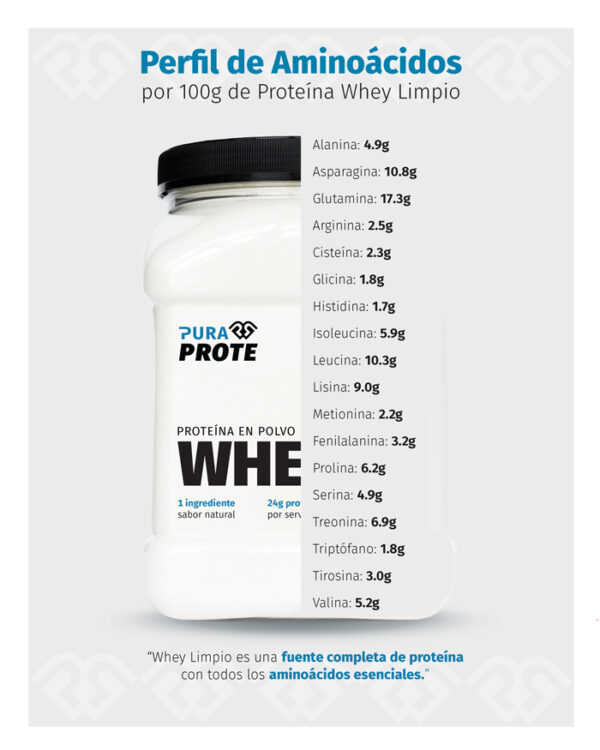 Whey Limpio aminoácidos